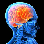 Что лучше КТ или МРТ головного мозга?